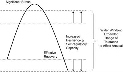 Leaders’ Windows of Tolerance for Affect Arousal—and Their Effects on Political Decision-making During COVID-19